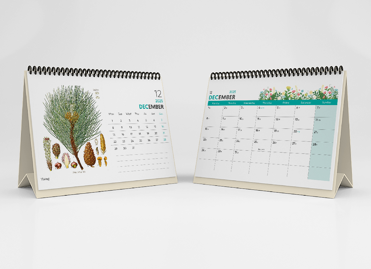 Lịch Bàn 2025 - Desk Calendar Nguyễn Trắc - Wild Flower and Herb