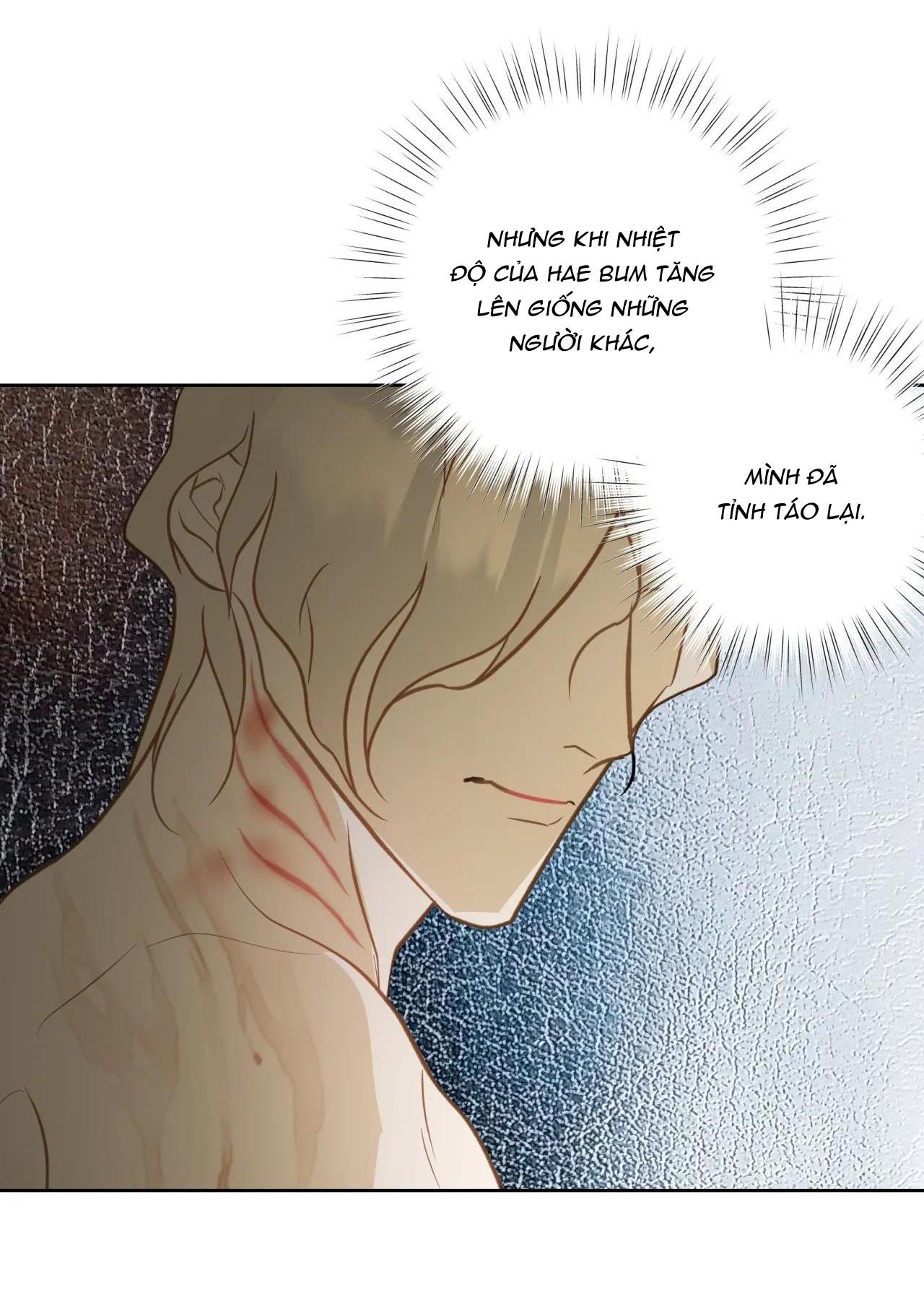 mỹ nhân ngư chapter 7 15