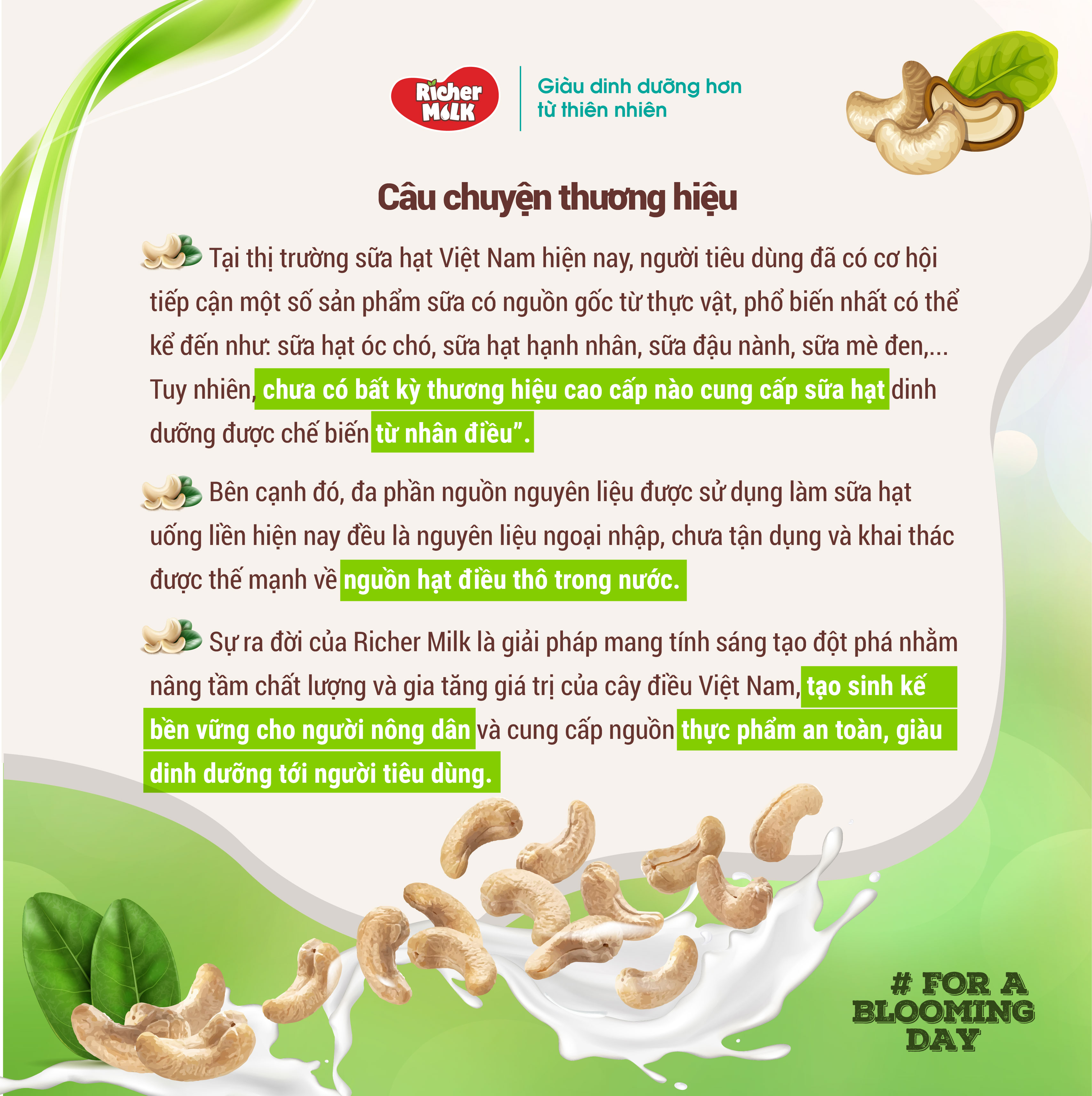 Lốc Sữa Hạt Điều Đại Mạch Richer Milk 180ml