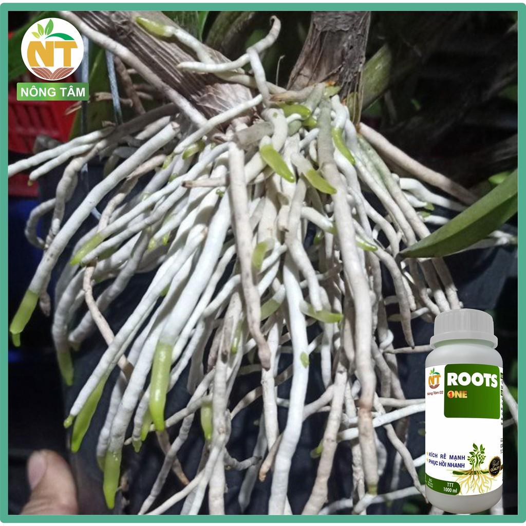 Phân bón siêu kích rễ, dưỡng rễ Roots One chuyên dùng cho cây ăn quả, chai 1000ml