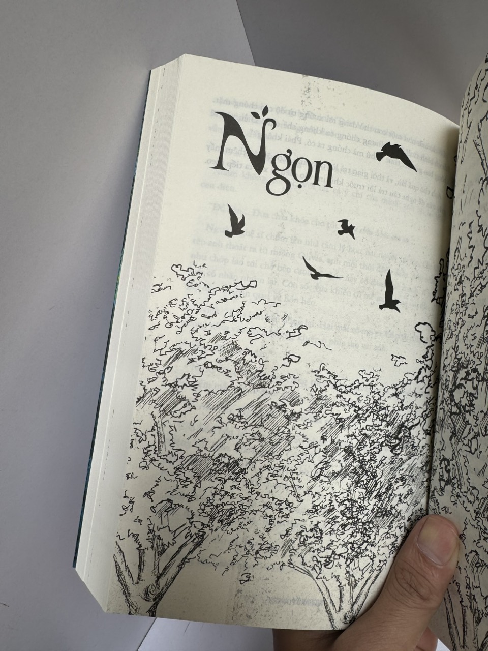 VÒM RỪNG - Richard Powers- Hà Uy Linh dịch -AZ Việt Nam - NXB Phụ Nữ