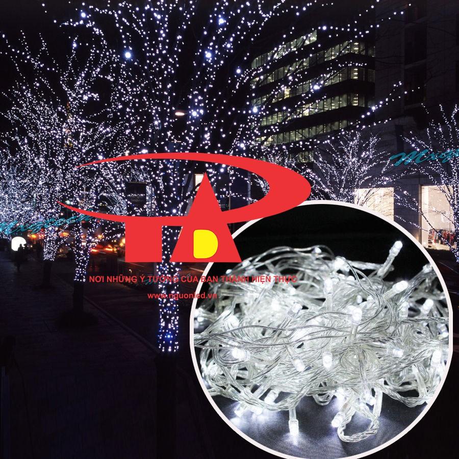 Combo Đèn Led Trang Trí Noel - Đèn Led Trang Trí Cây Thông.