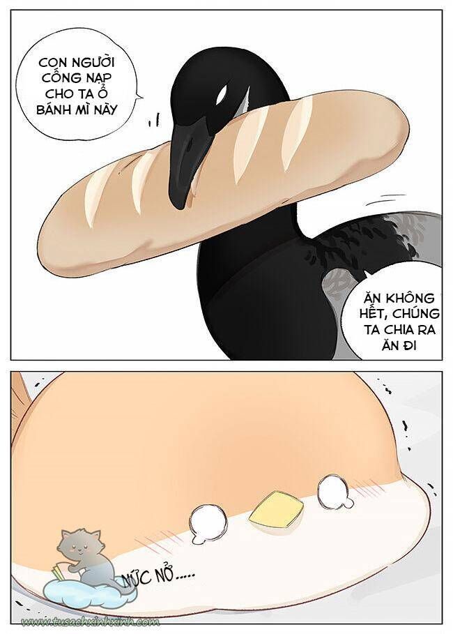 chim sẻ gọi ngỗng trời chapter 2 6