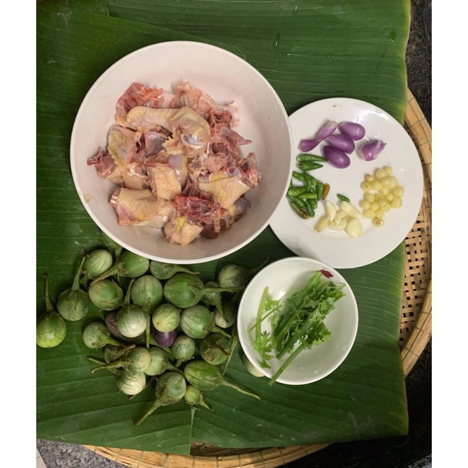 Hạt giống cà đắng đồng bào Bana Tây Nguyên