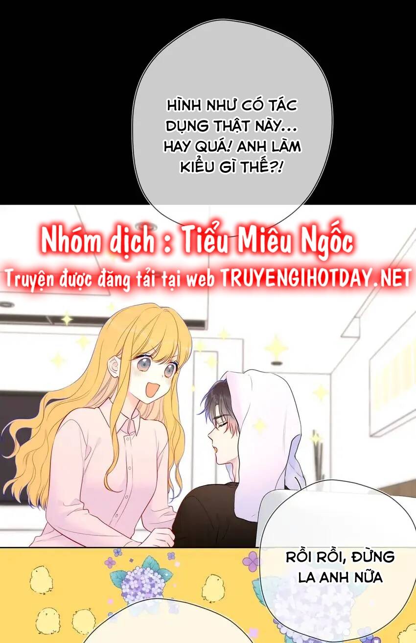 vì sao của tôi chapter 148 36