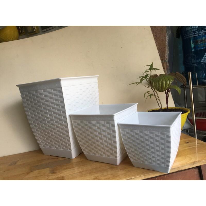 Combo 2 Chậu Nhựa Vuông Trắng Dàng Cao Rất Dày - Trồng Hoa Kiểng Tuyệt Đẹp
