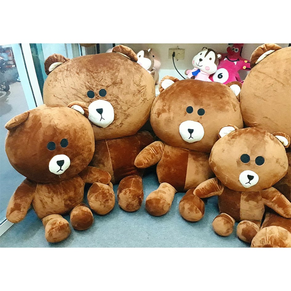 Gấu bông Brown đầu bư cute làm quà tặng ý nghĩa