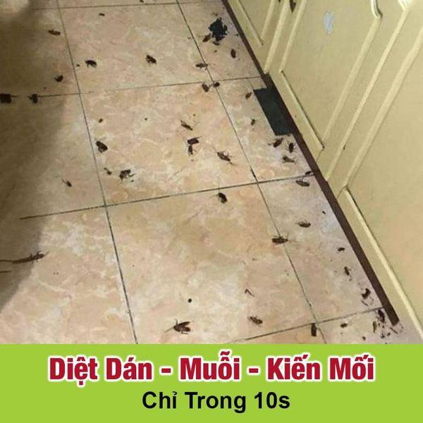 Bình xịt diệt côn trùng Muỗi Kiến Gián Mối Mọt Sinh Học 100% THẢO MỘC 10S - An toàn hiệu quả (Hương Bạc Hà mới )