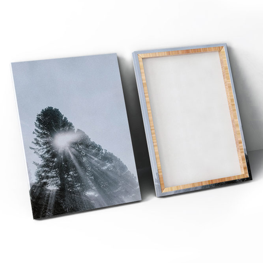 Bộ 2 Tranh Canvas Cây Cao Bóng Cả - W120