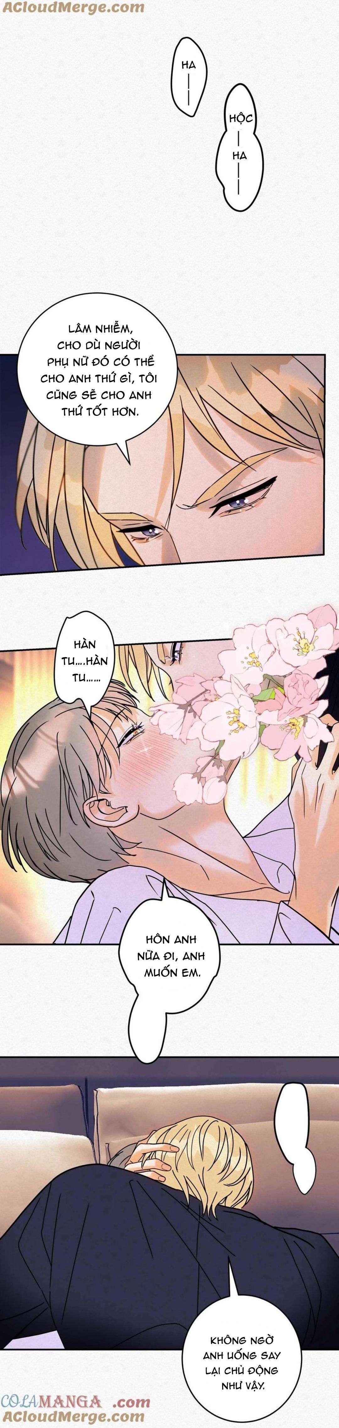 anh trai rẻ tiền của tôi chapter 14 6