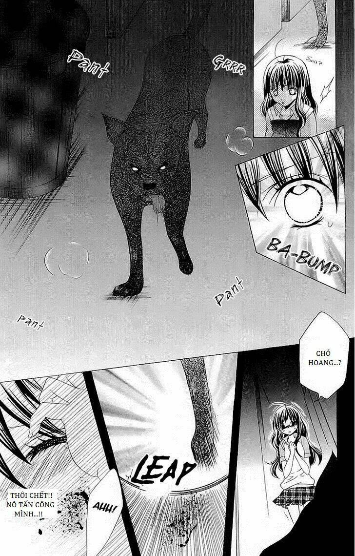 suki desu suzuki-kun!! chapter 42 12