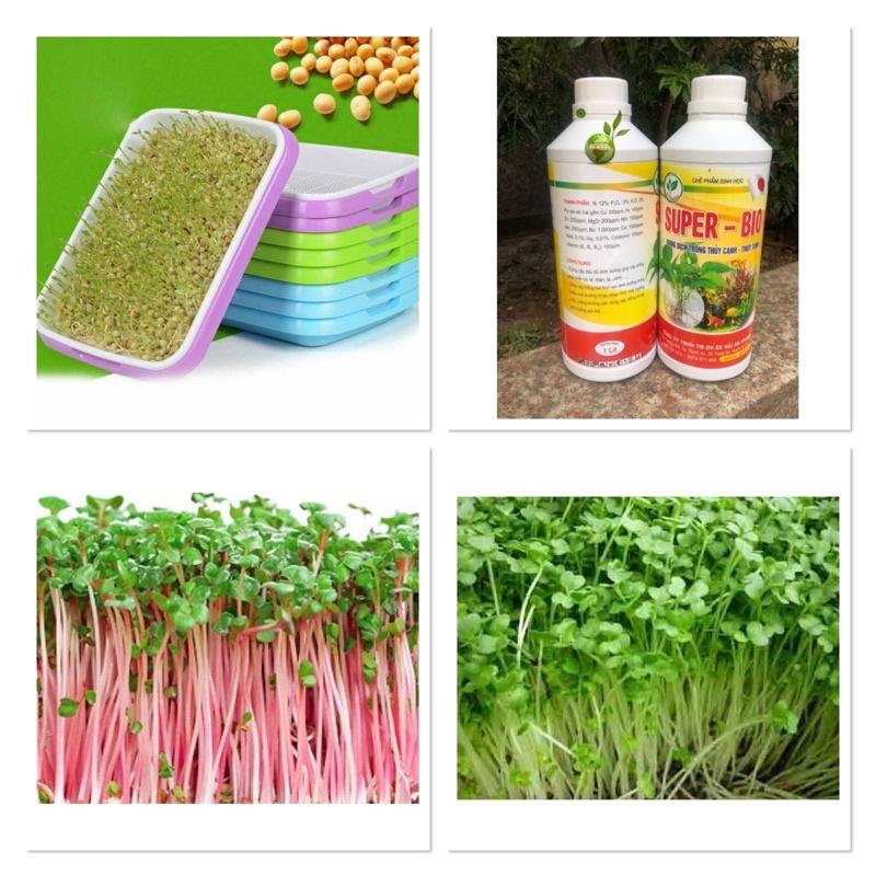 COMBO-10 KHAY RAU MẦM THỦY CANH,DUNG DỊCH THỦY CANH,HẠT GIỐNG RAU MẦM