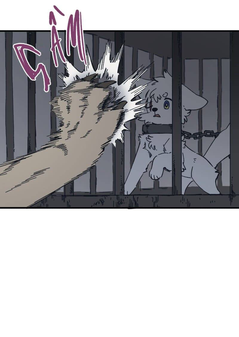 lumine - cội nguồn ánh sáng chapter 140 11