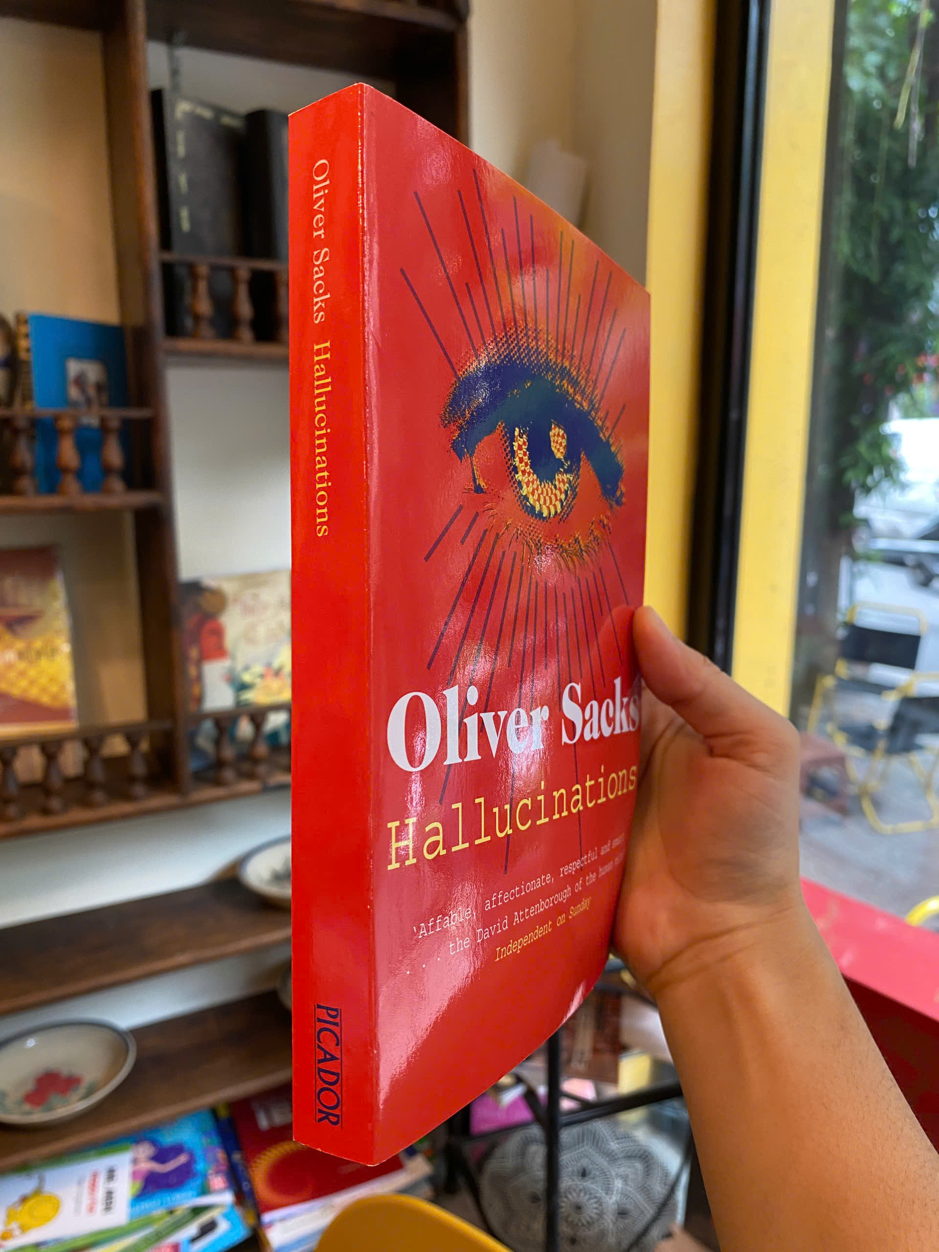 Sách - Hallucinations by Oliver Sacks | Nonfiction / Psychology / Ngoại văn Nhập khẩu