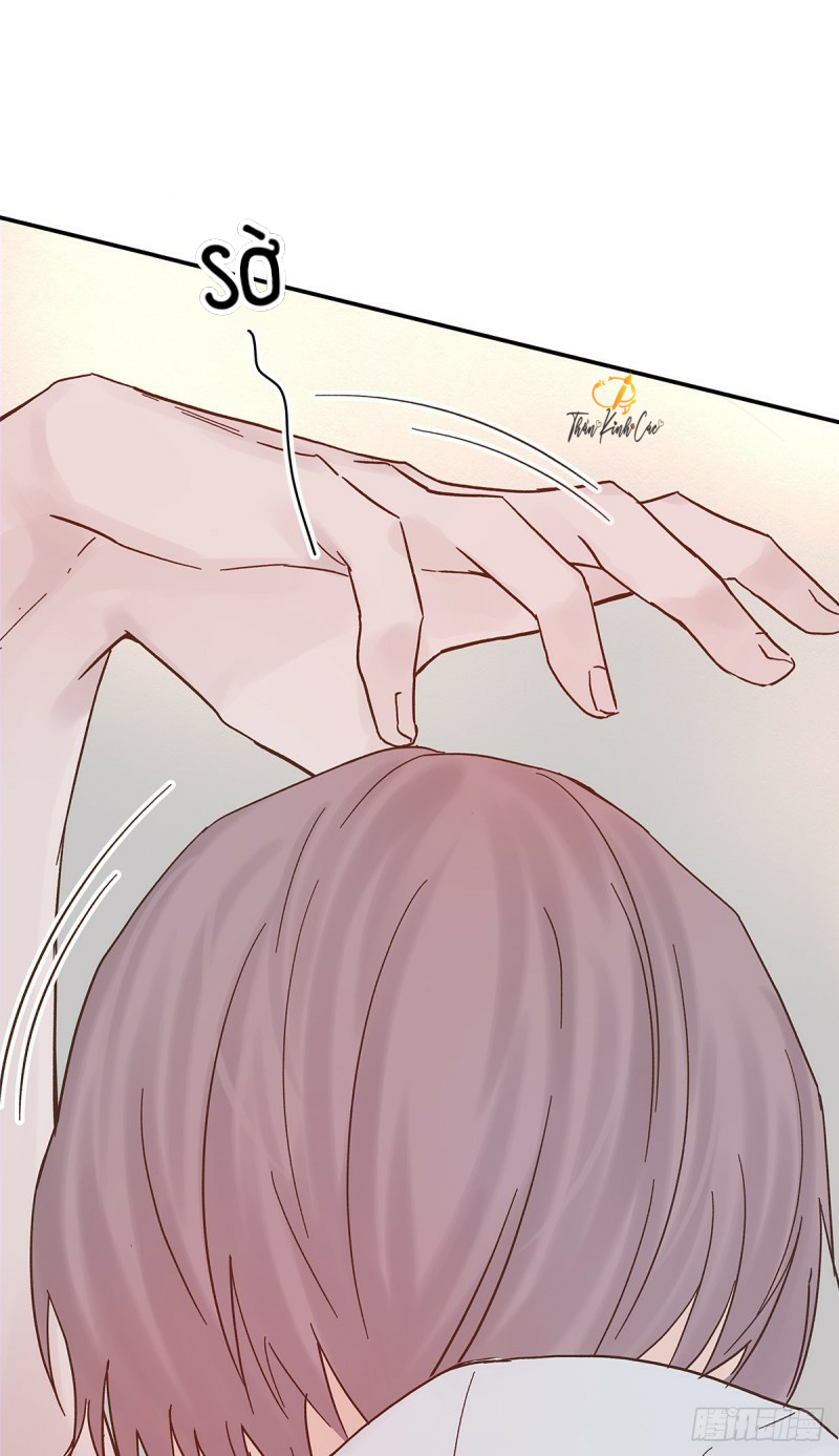 mối tình đầu gian nan của chu thành nhất chapter 36 49