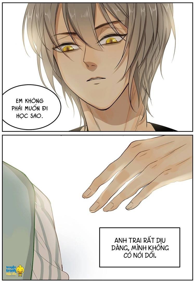 cứu mạng ! loài mèo thống trị thế giới rồi ! chapter 10 15