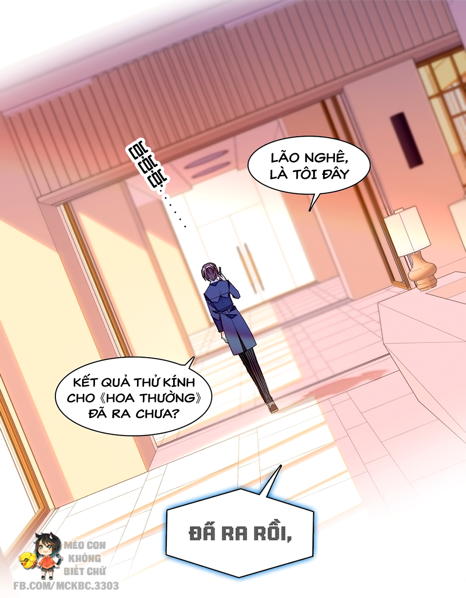 long phượng phiên chuyển chapter 39 42