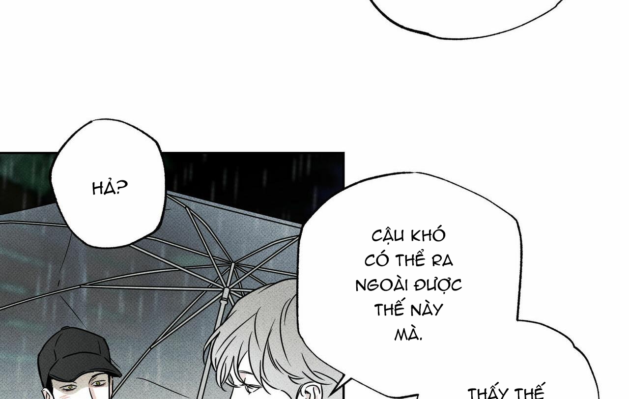 chàng giao pizza và gold palace chapter 23 157