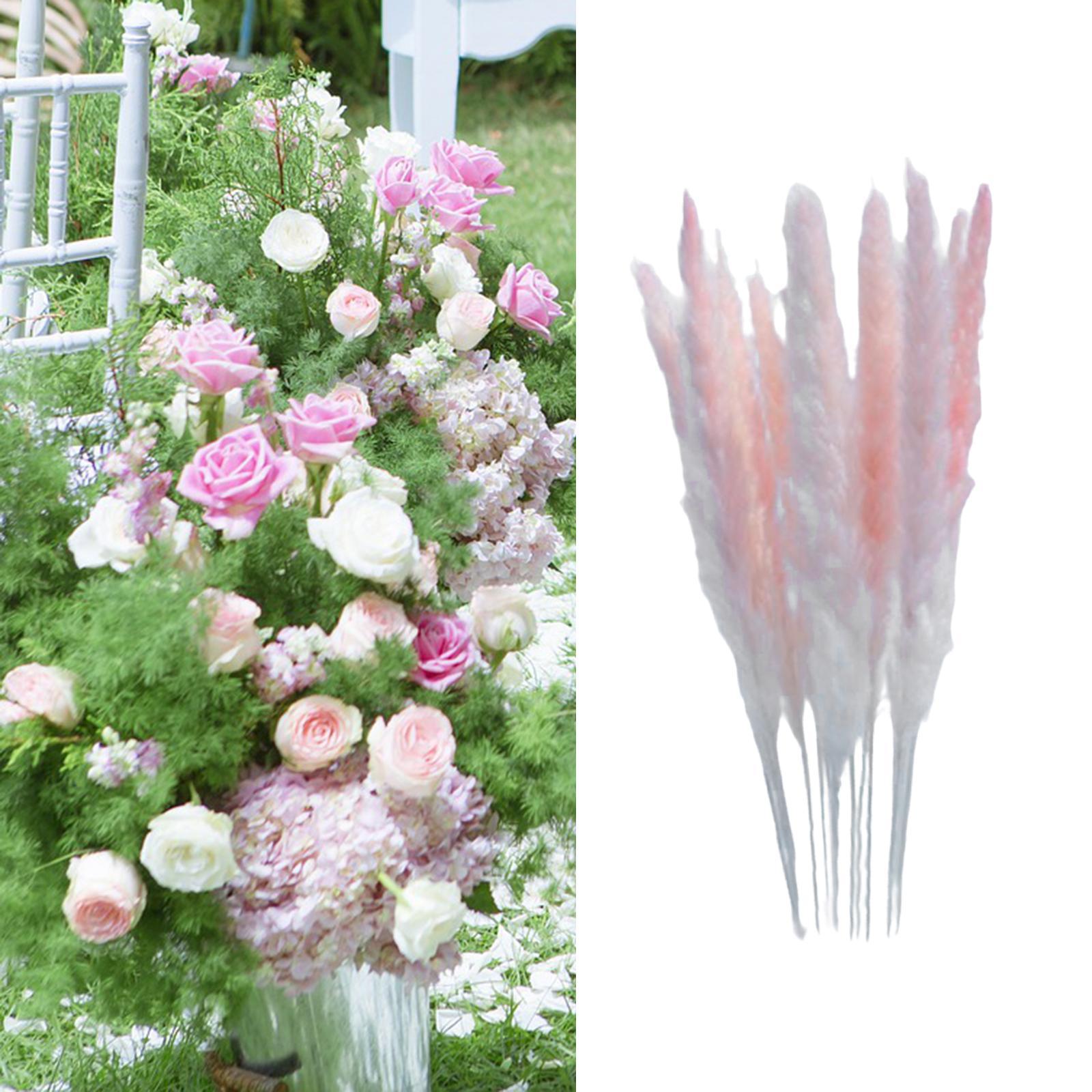 Natural Dried Pampas Grass Boho Home Decor Flower Arrangement Dried Reed Phragmites Decoration