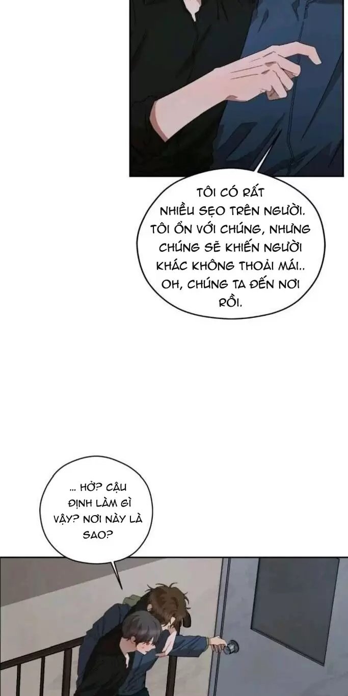 liveta chapter 34 53