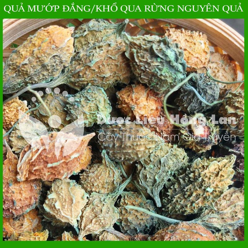 ✅ 1kg Trái khổ qua rừng nguyên quả khô sạch