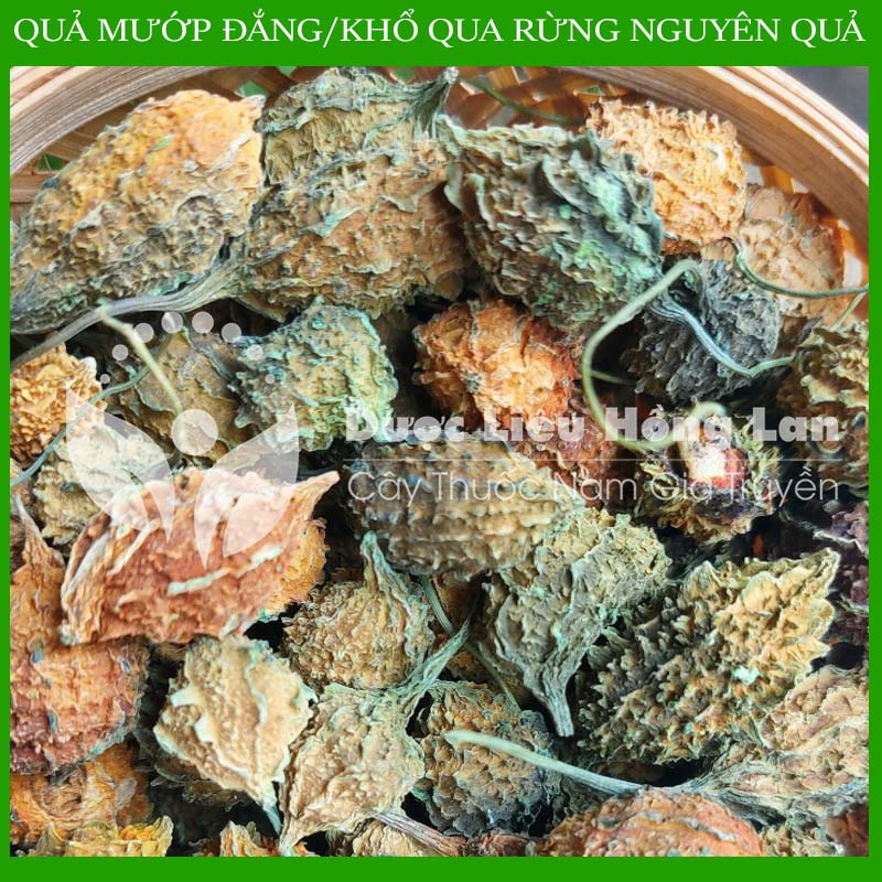 ✅ 1kg Trái khổ qua (Mướp đắng) rừng nguyên quả khô sạch