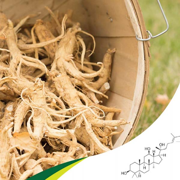 Bột Nhân Sâm Canada Hủ 25G