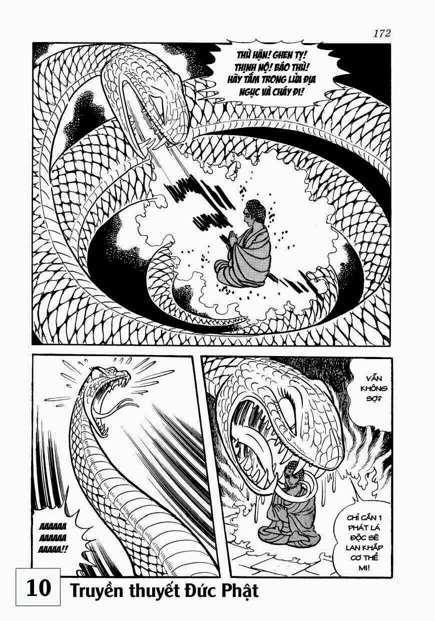 buddha - truyền thuyết đức phật chapter 47 45