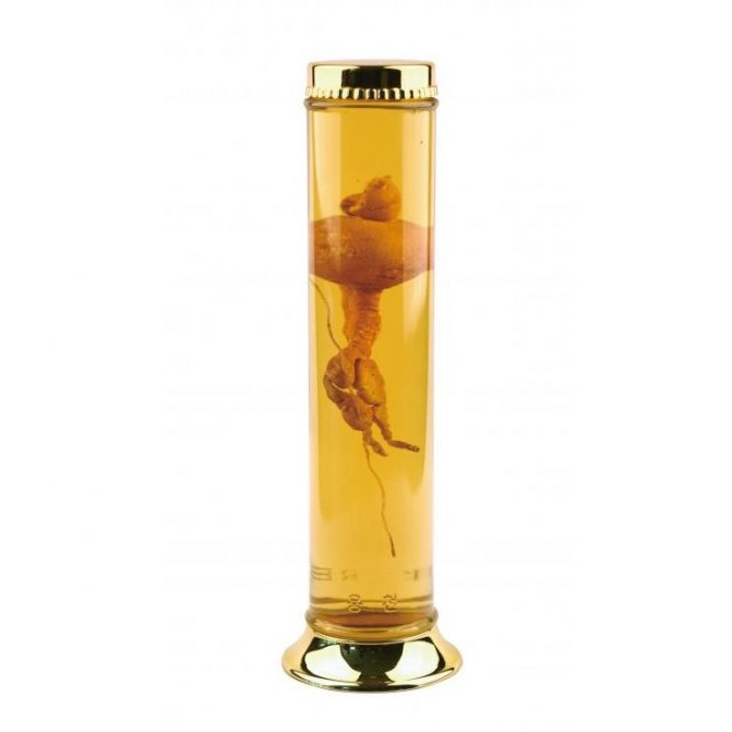 Bình trụ thủy tinh ngâm sâm Hàn Quốc 0,8 lít