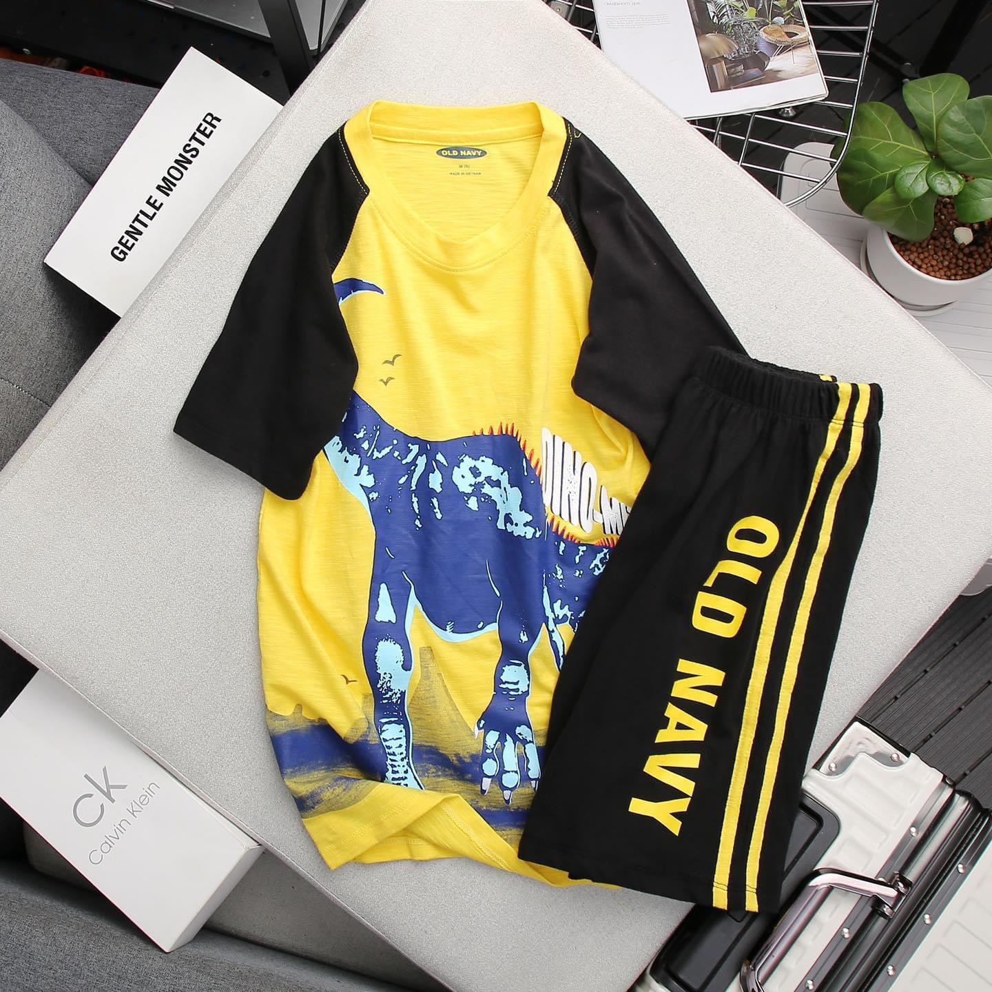 Đồ bộ bé trai, bộ mặc hè cho bé trai 100% cotton mềm mát