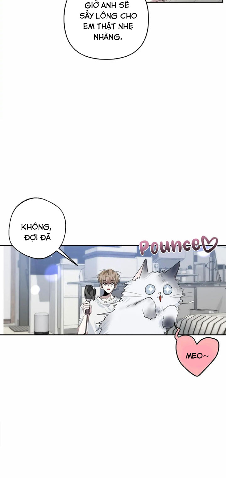 đàn anh xấu xa của tôi chapter 35 9