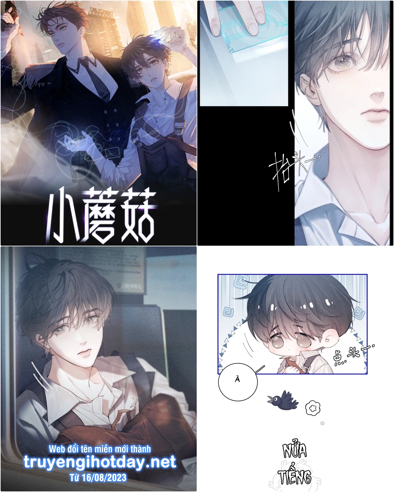 cây nấm nhỏ chapter 9 1