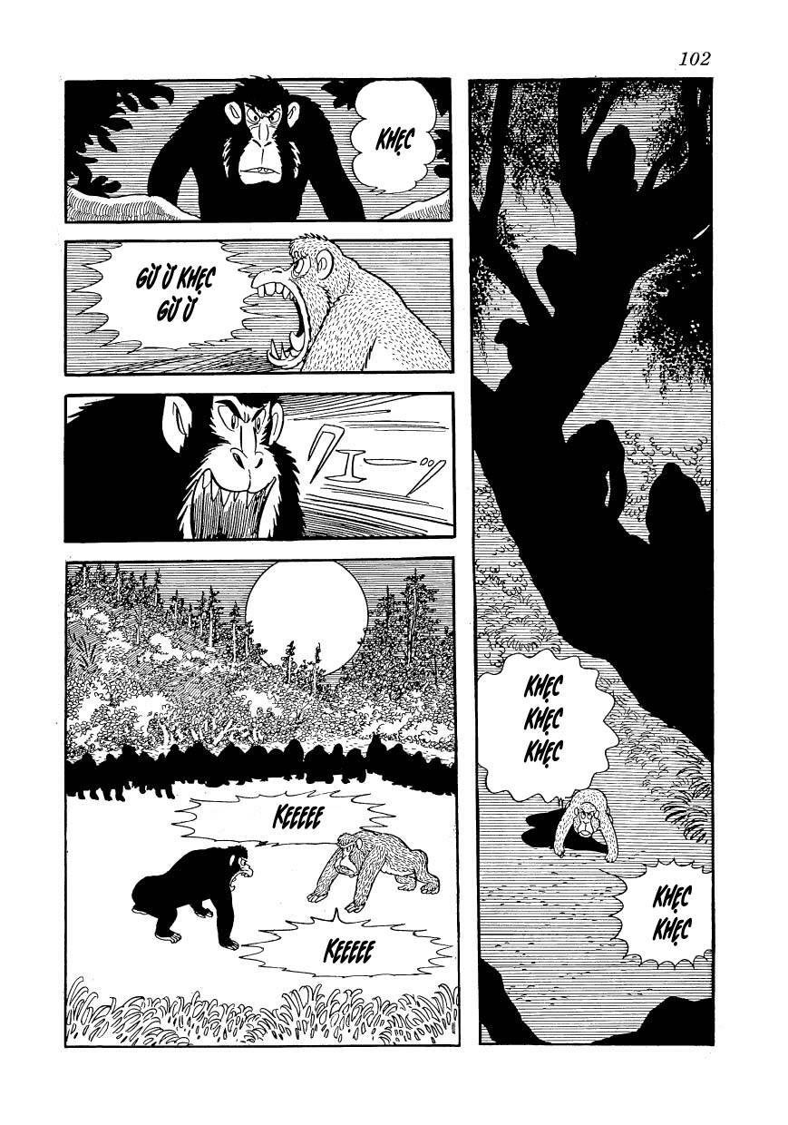 chim lửa chapter 80 20