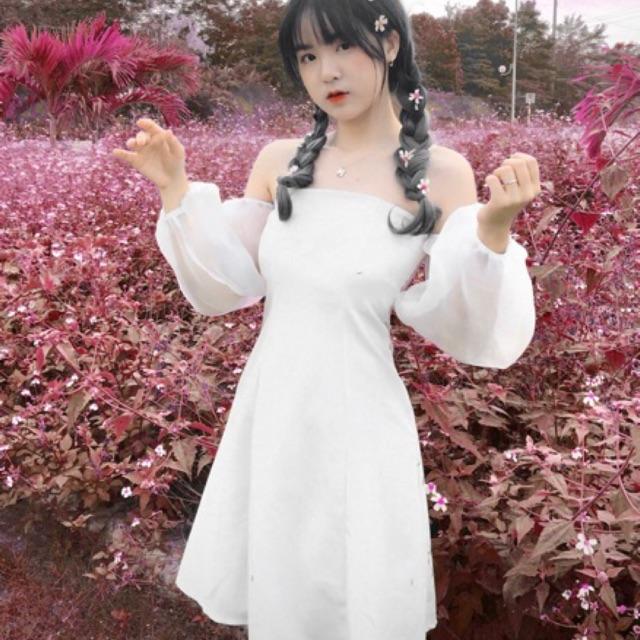 Đầm lưới tay