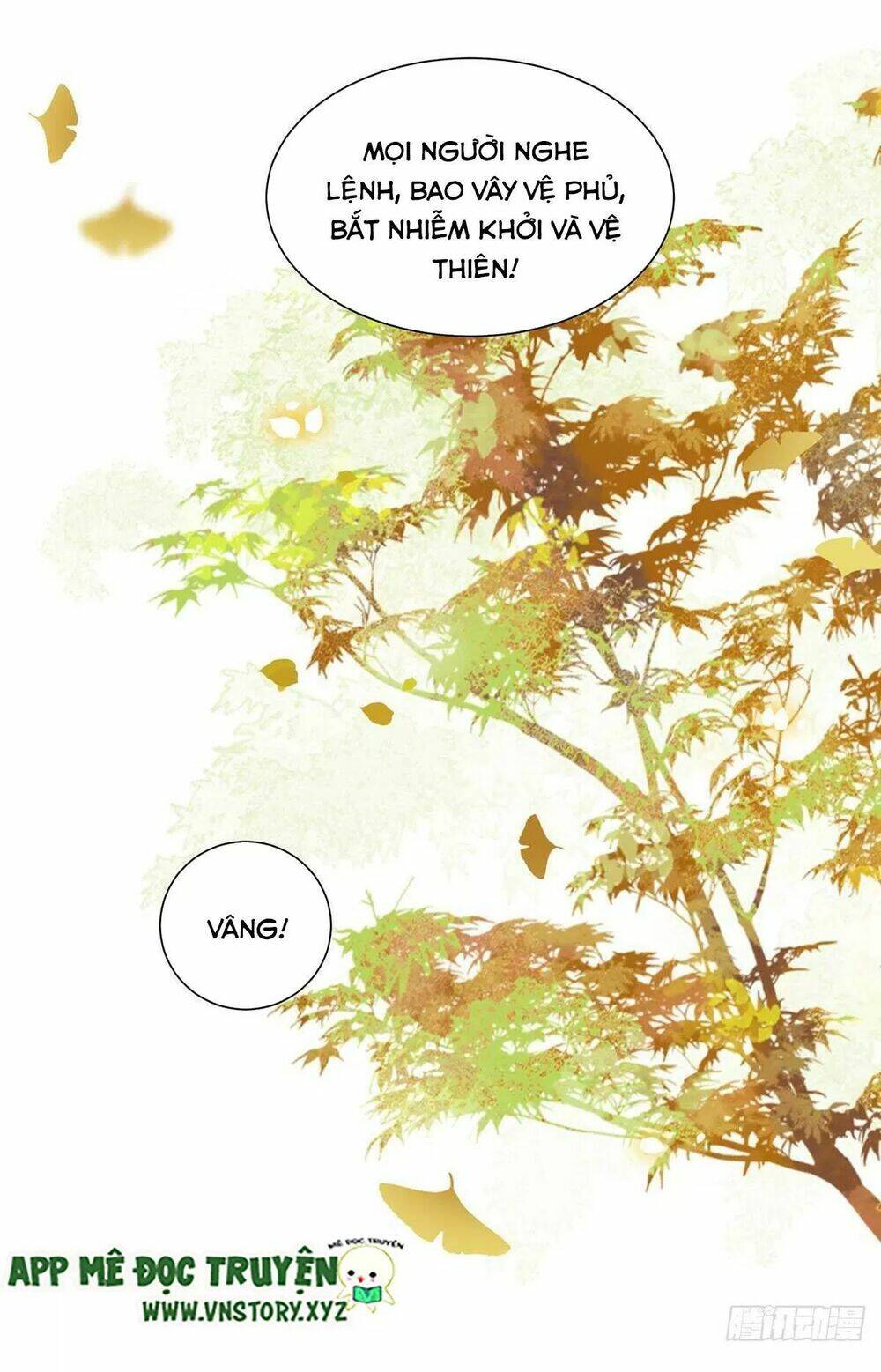 phượng hoàng vu phi chapter 124 12