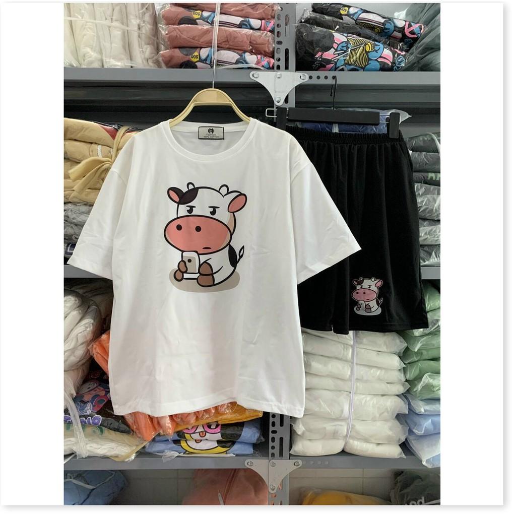 SET BỘ THUN COTTON NỮ XINH XẮN,THIẾT KẾ HỌA TIẾT HỢP THỜI TRANG MÙA HÈ,ĐẶC BIỆT LÀ CHẤT LIỆU VÃI THOÁNG MÁT THỜI TRANG