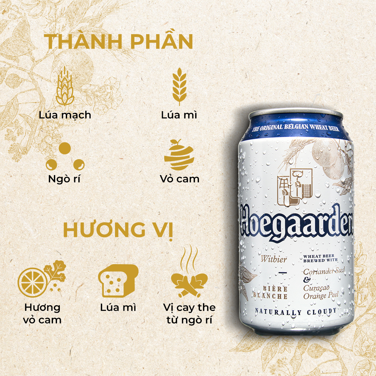 Bia Hoegaarden White Hộp 8 Lon (330ml/Lon) - Tặng 1 Ly Thủy Tinh Hoegaarden