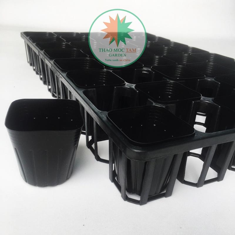 Bộ 05 Khay 40 lỗ 7.5 chuẩn Nhật - Khay ươm cây con, cây giống làm vườn