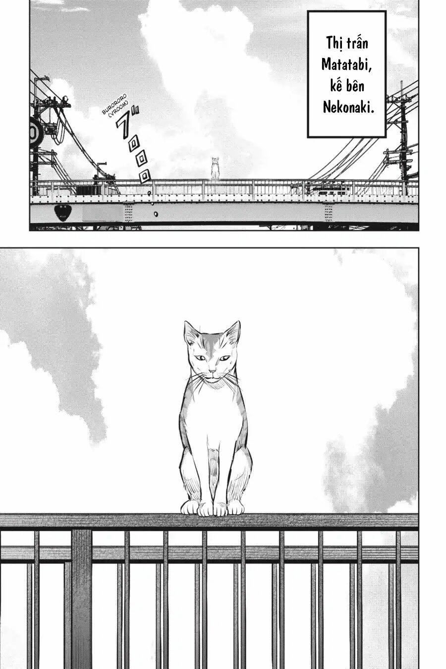 nyankees chapter 12 24