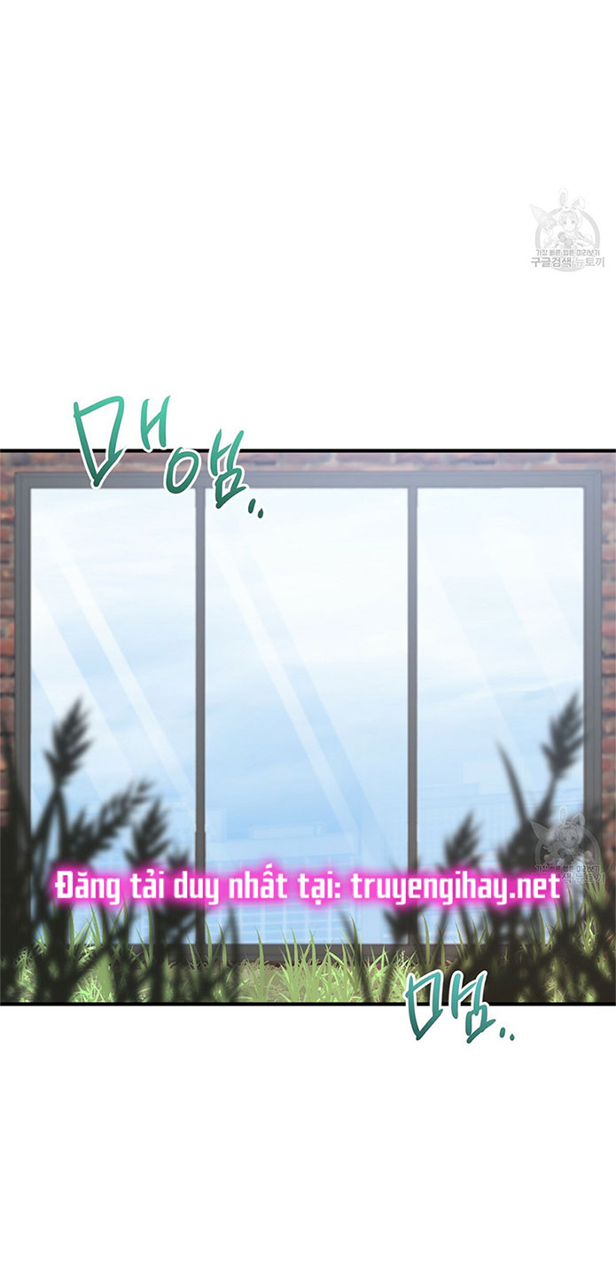 những chú thỏ của hapypy chapter 42 5