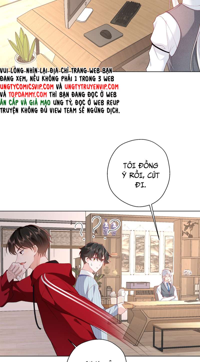 Anh Ấy Quá Khéo Rồi chapter 24