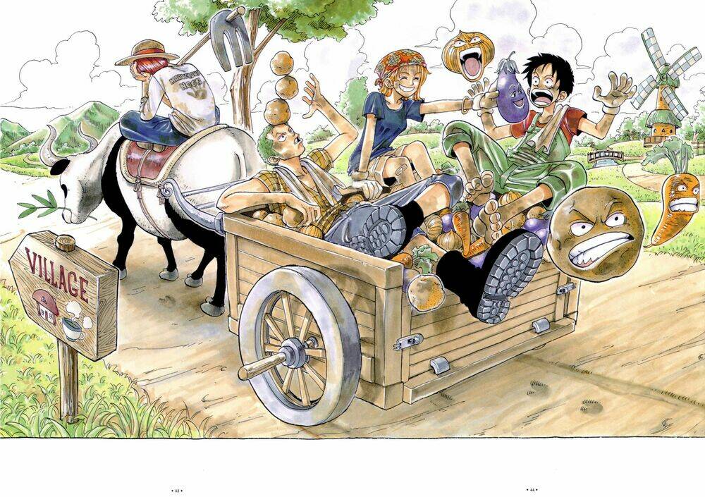 tổng hợp vua cướp biển ảnh màu chính gốc chapter 1 5