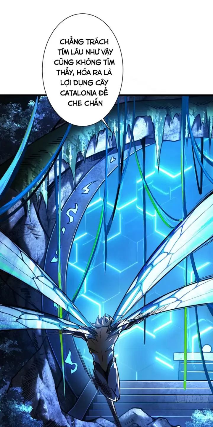 ta, chúa tể rừng xanh chapter 11 24