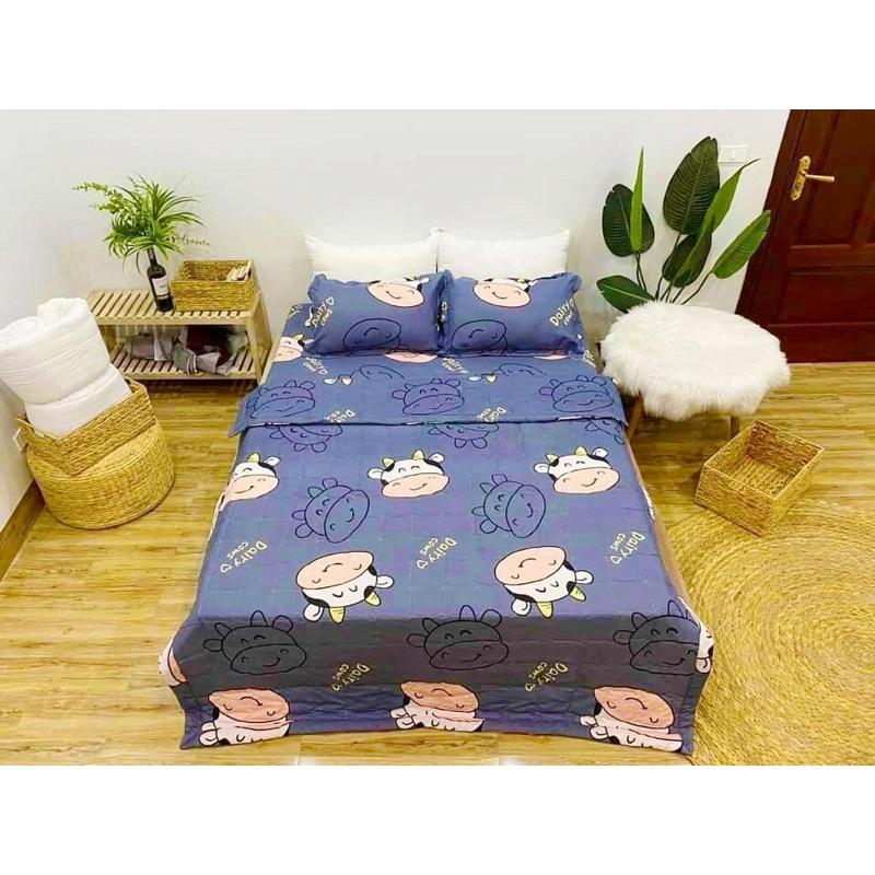 Ga và 2 vỏ gối chất liệu cotton poly cao cấp giá tại xưởng (được chọn mẫu)