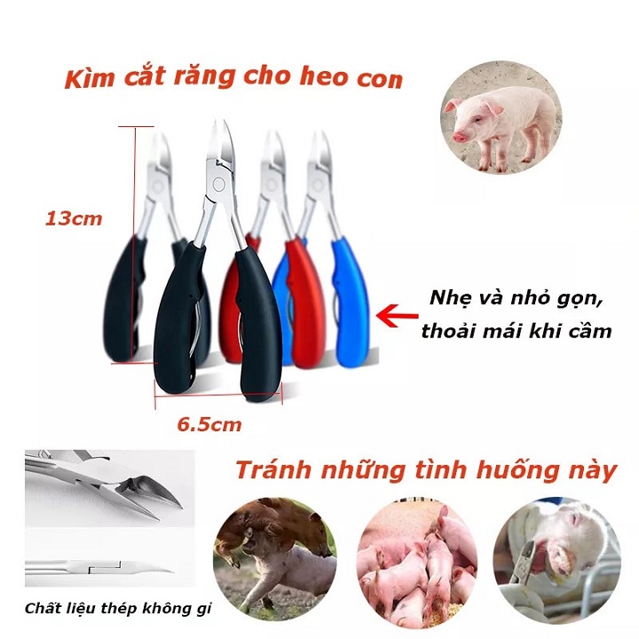 Kềm cắt móng chân cứng mọc ngược,  Kìm Răng Lợn Kìm Cắt Nanh Cho Heo Con bằng thép không gỉ, Bấm Nanh Cắt Móng Chân Tay