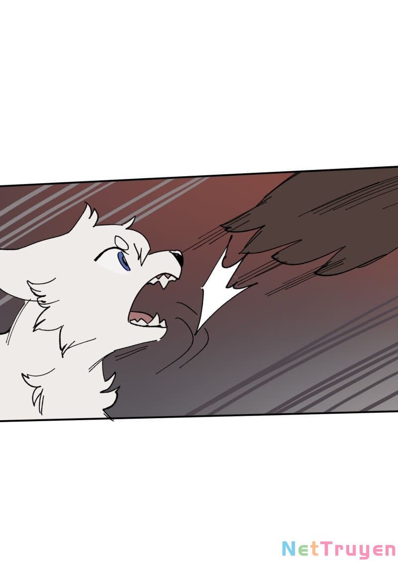 lumine - cội nguồn ánh sáng chapter 112 37