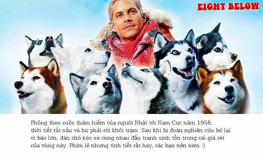 bác sĩ thú y chapter 5 17