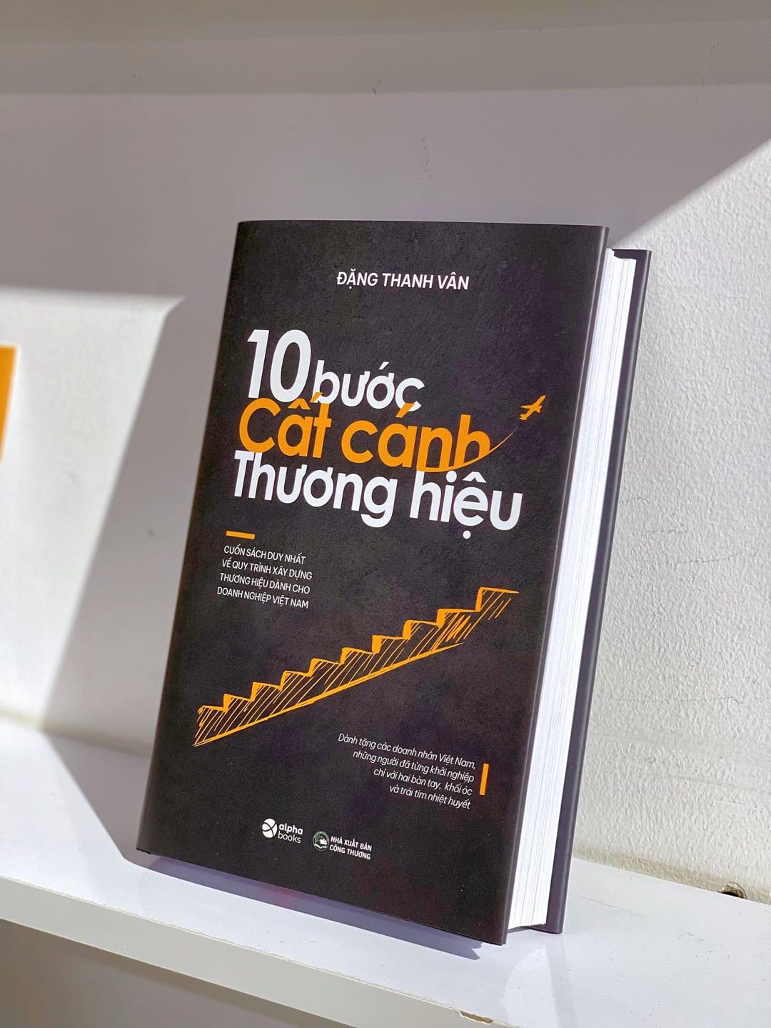 10 Bước Cất Cánh Thương Hiệu - Cuốn Sách Duy Nhất Về Quy Trình Xây Dựng Thương Hiệu Dành Cho Doanh Nghiệp Việt Nam (Đặng Thanh Vân)