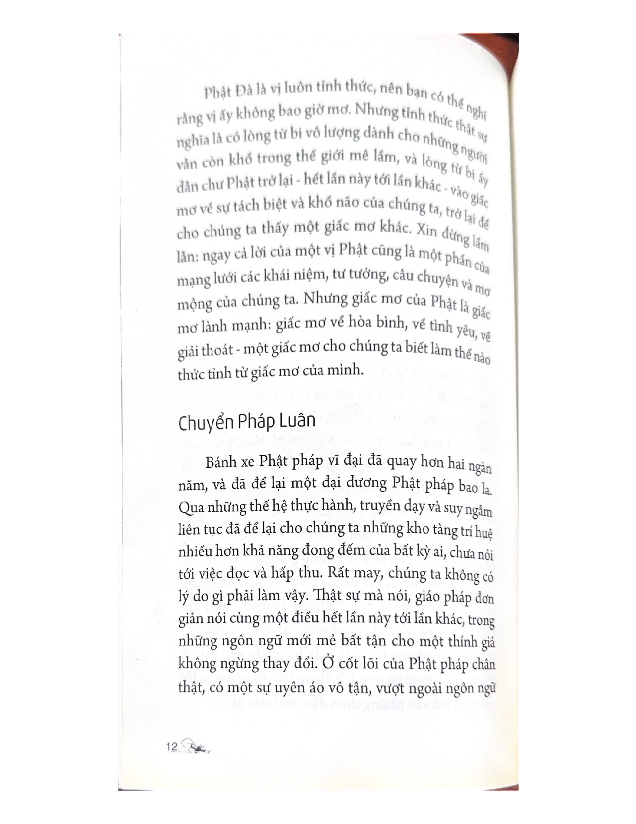 Sách Giấc Mơ Giải Thoát Của Đức Phật