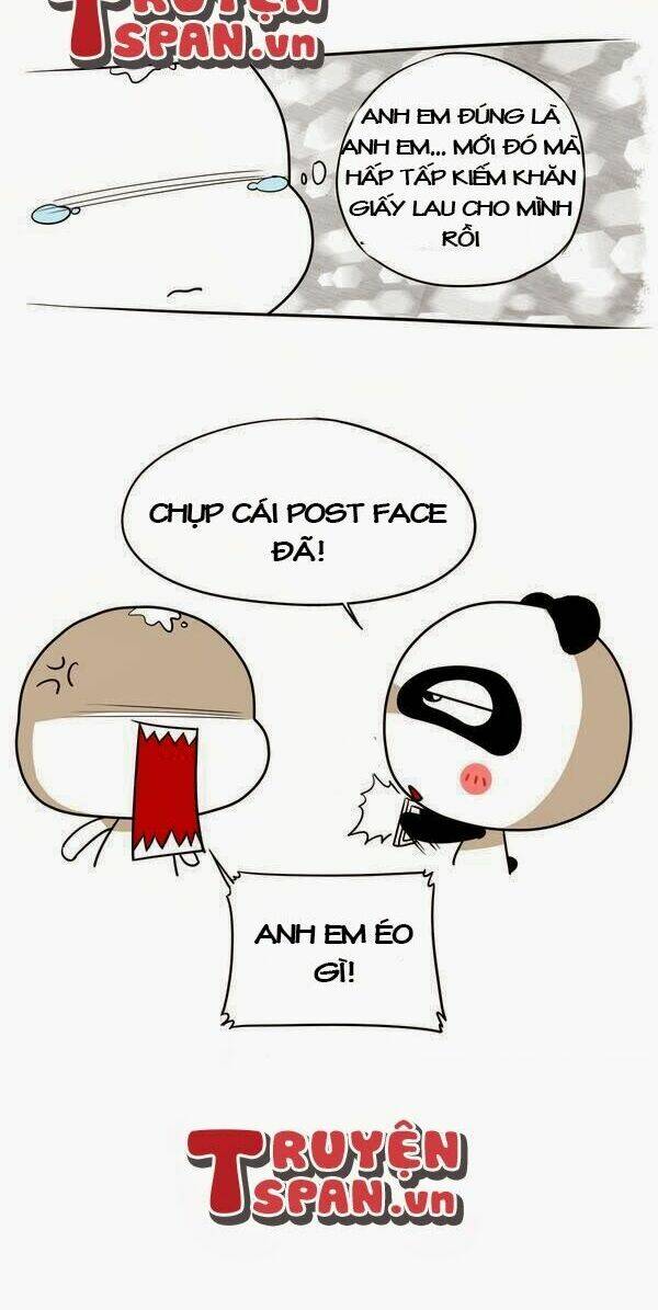 gấu ngốc và những người bạn chapter 12 8